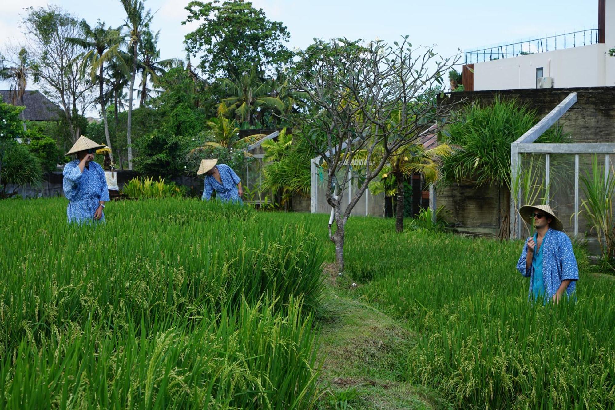 Shore Amora Canggu Екстериор снимка